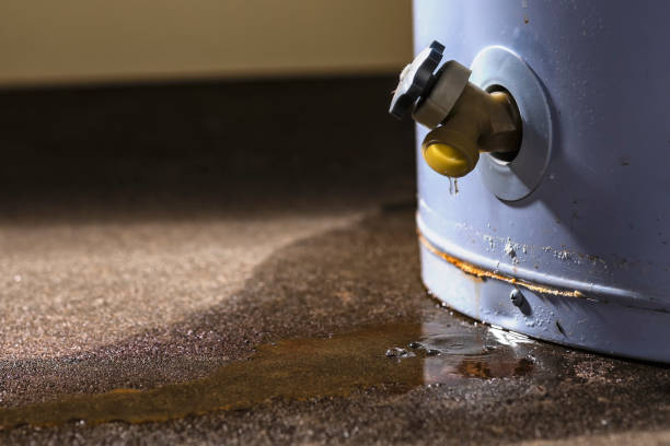 Best Fire Damage Restoration  in Pinehurst, MA