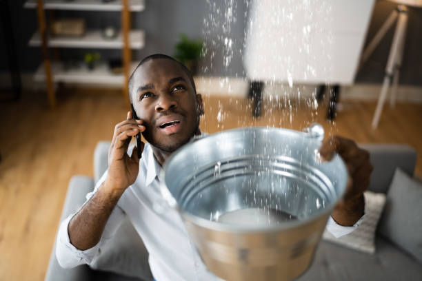 Best Professional water damage repair  in Pinehurst, MA
