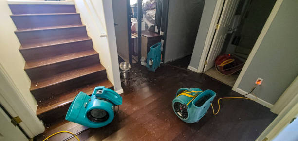 Sewage cleanup and water damage restoration in MA
