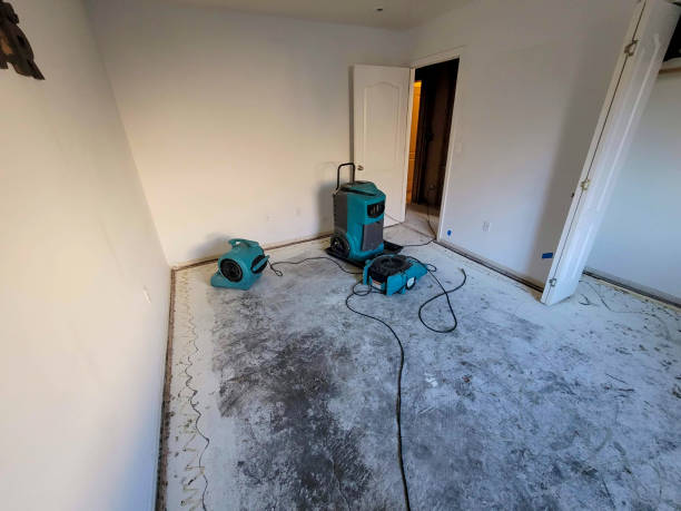 Best Water damage restoration near me  in Pinehurst, MA