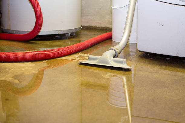 Best Water damage contractors near me  in Pinehurst, MA