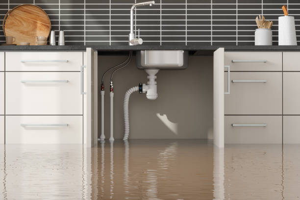 Best Water damage cleanup near me  in Pinehurst, MA